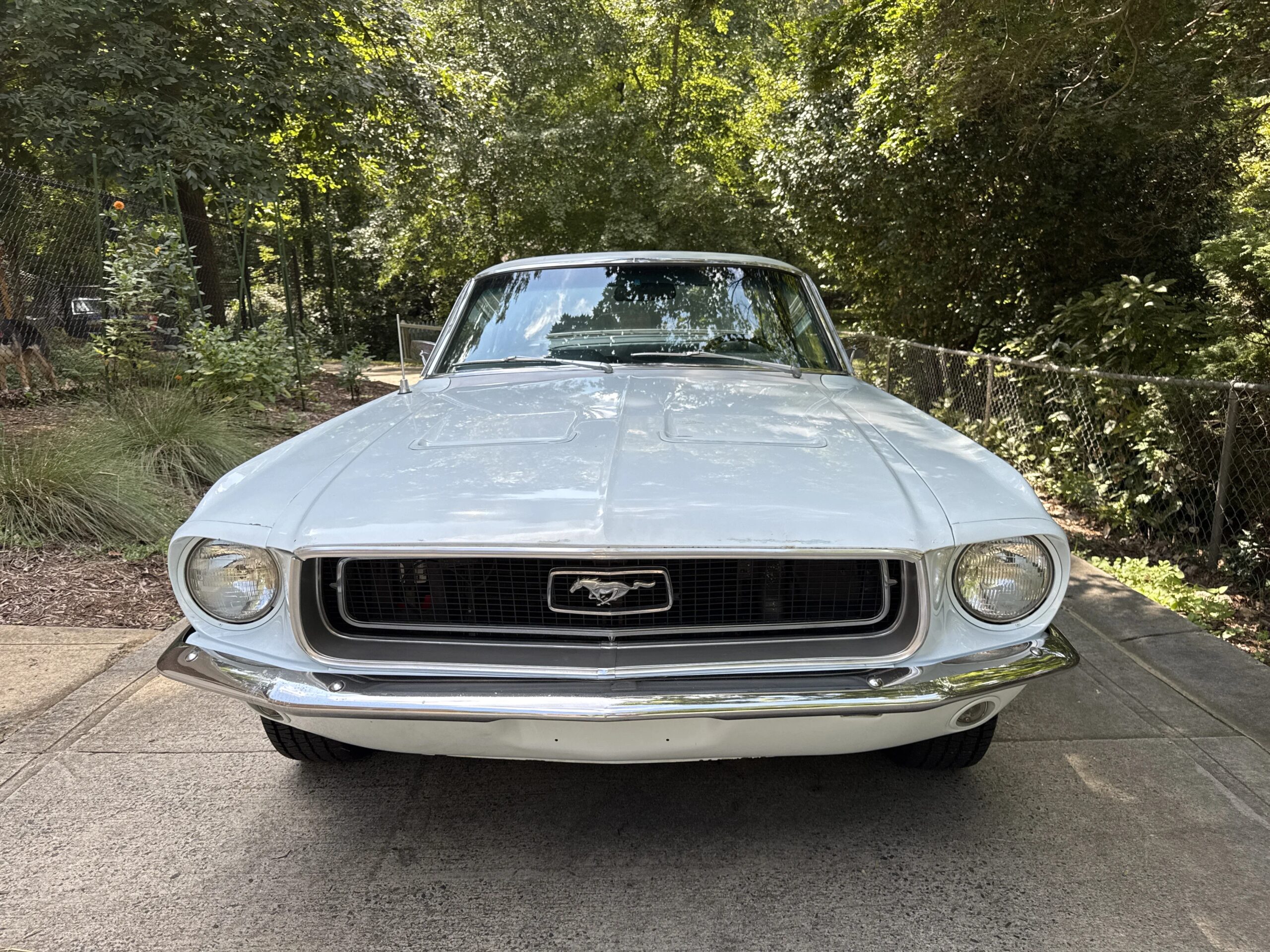 Ford-Mustang-coupe-1968-Blue-Blue-24