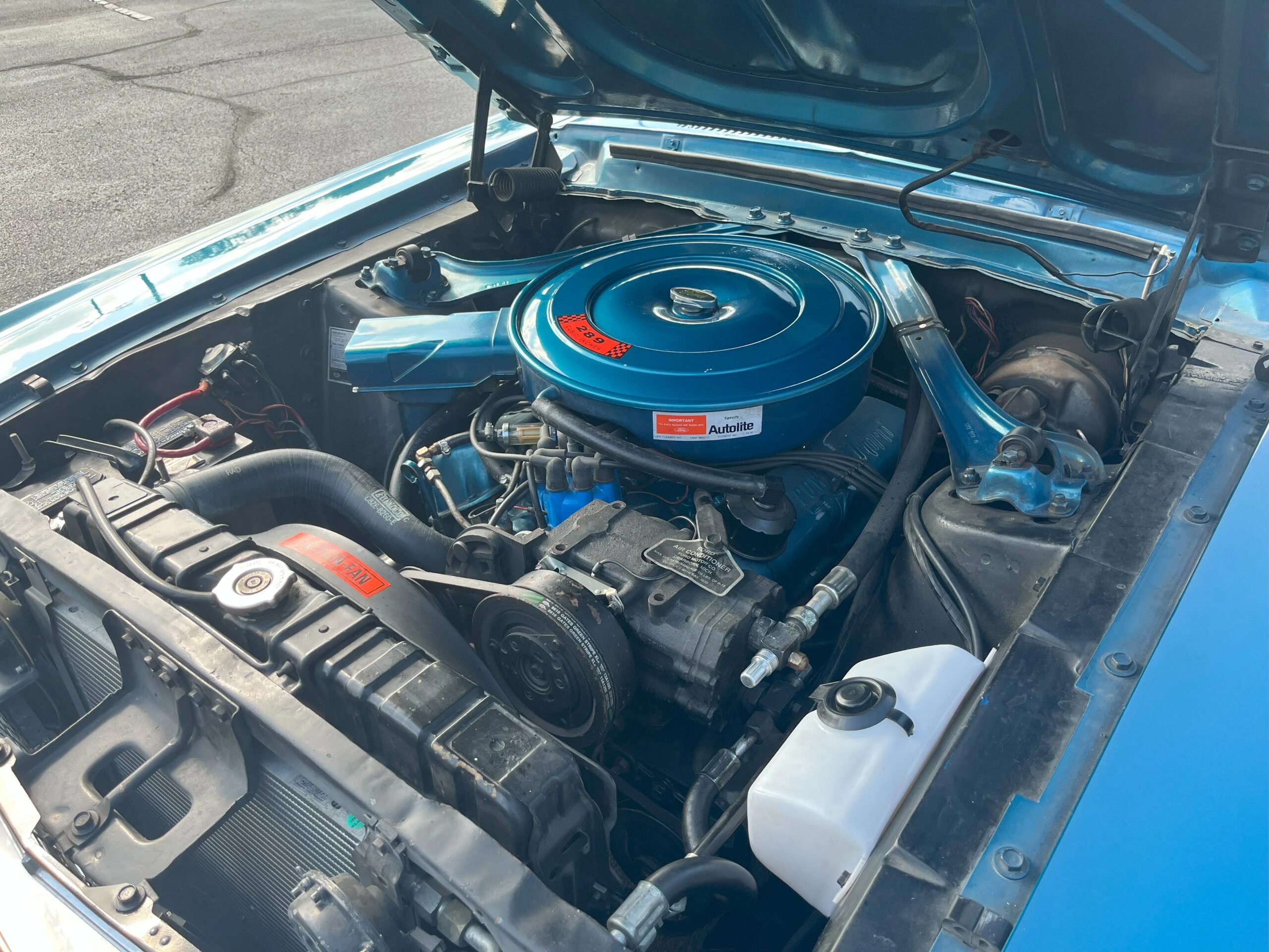 Ford-Mustang-coupe-1968-Blue-Blue-4