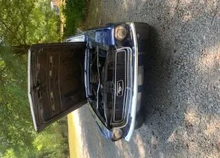 Ford-Mustang-coupe-1968-Blue-Blue-6