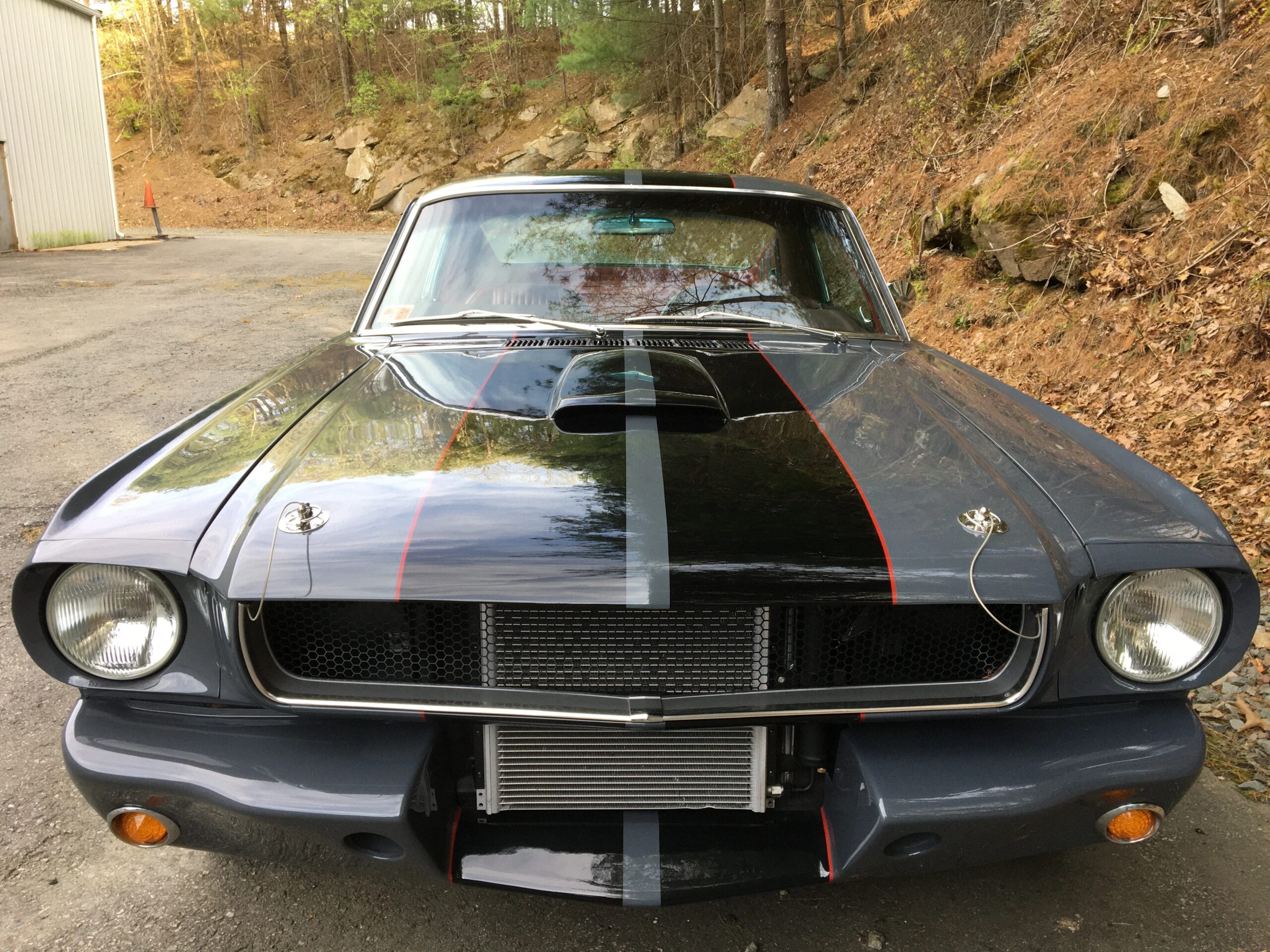 Ford-Mustang-fastback-1966-Gray-Red-1