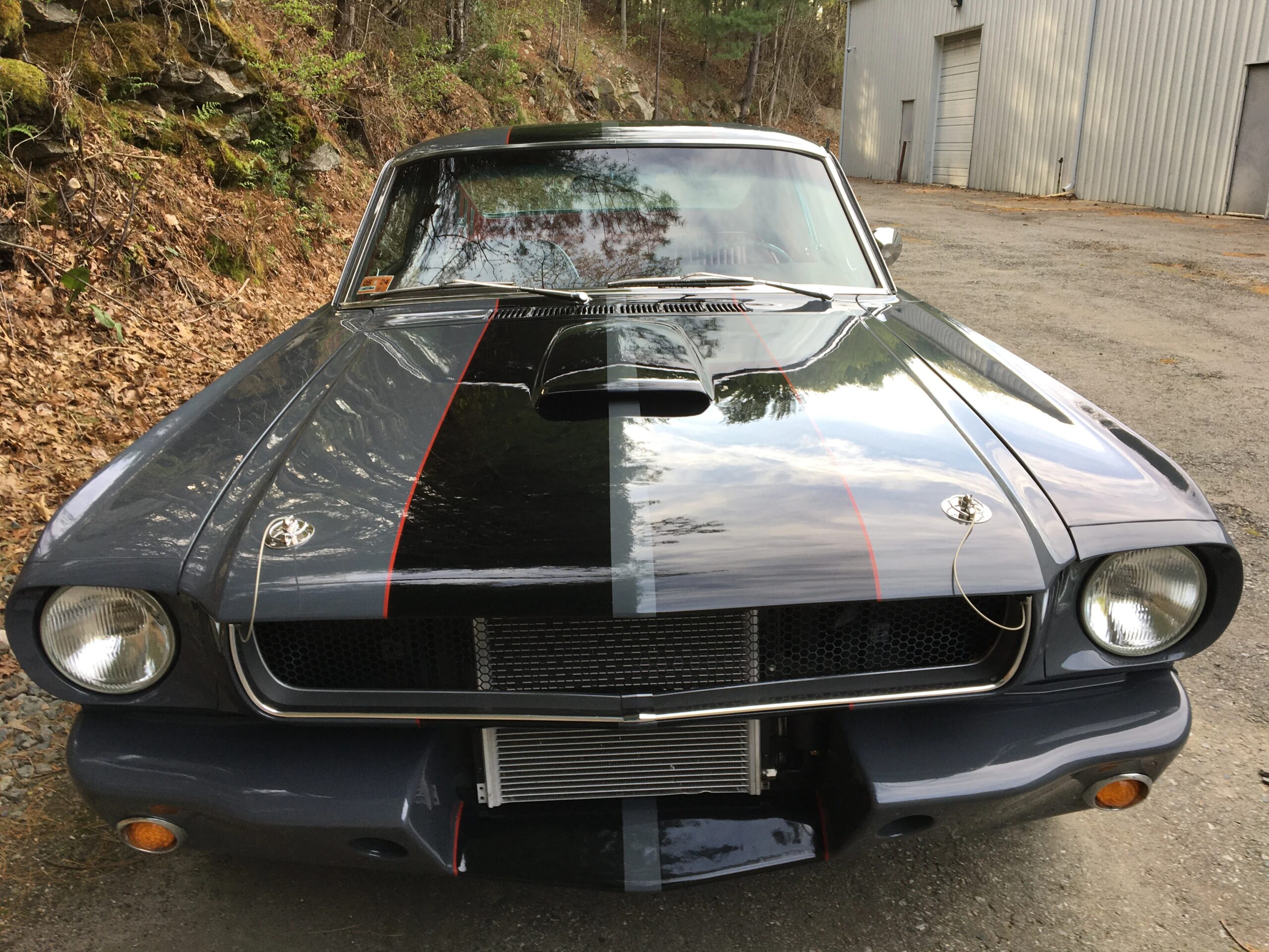 Ford-Mustang-fastback-1966-Gray-Red-8
