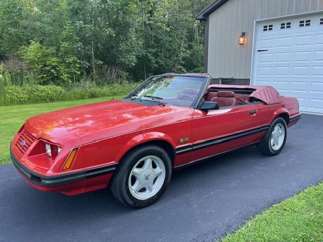 Ford-Mustang-glx-v8-convertible-1984-Red-Red-15