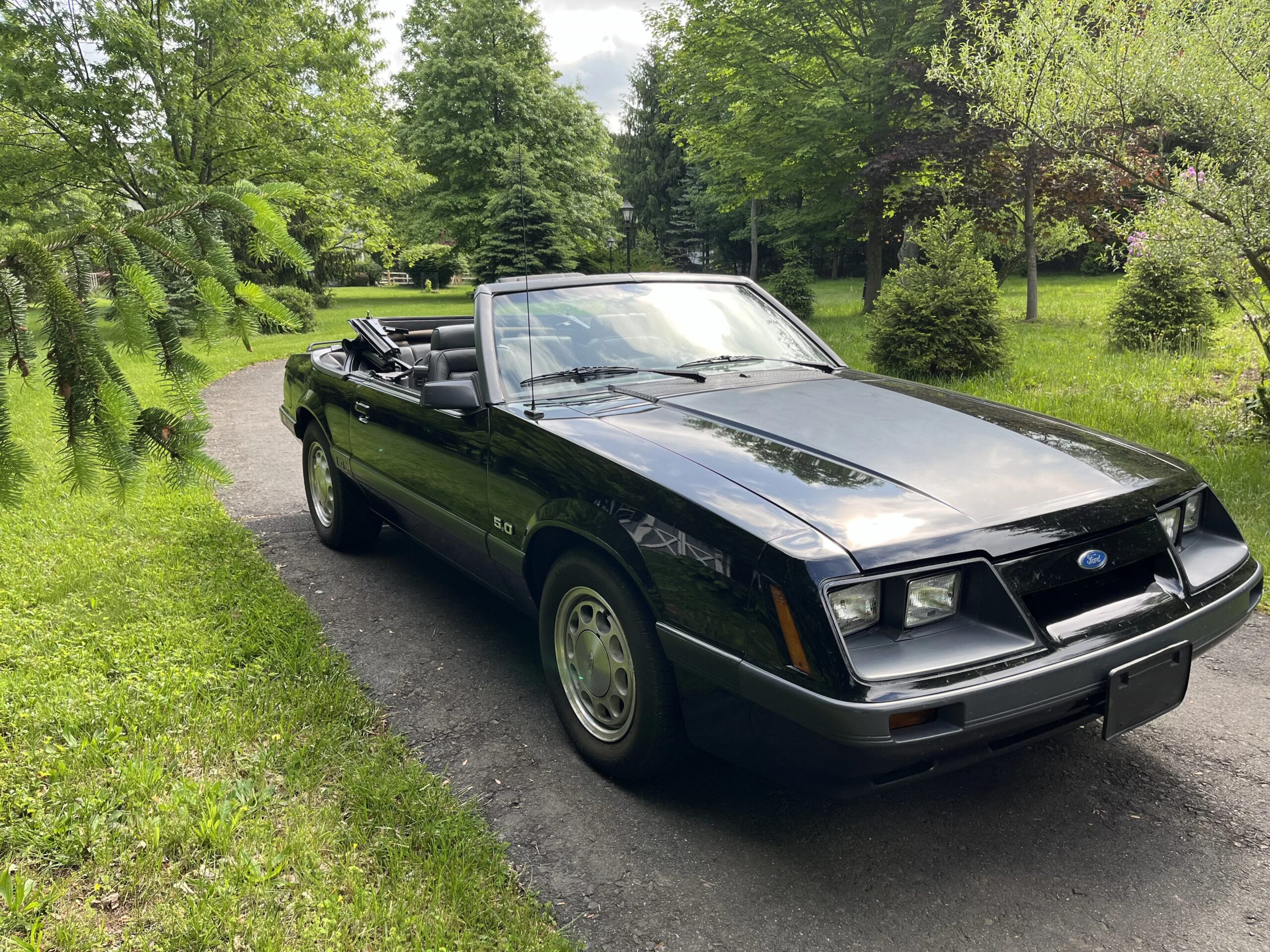 Ford-Mustang-gt-convertible-1986-Black-Gray-3