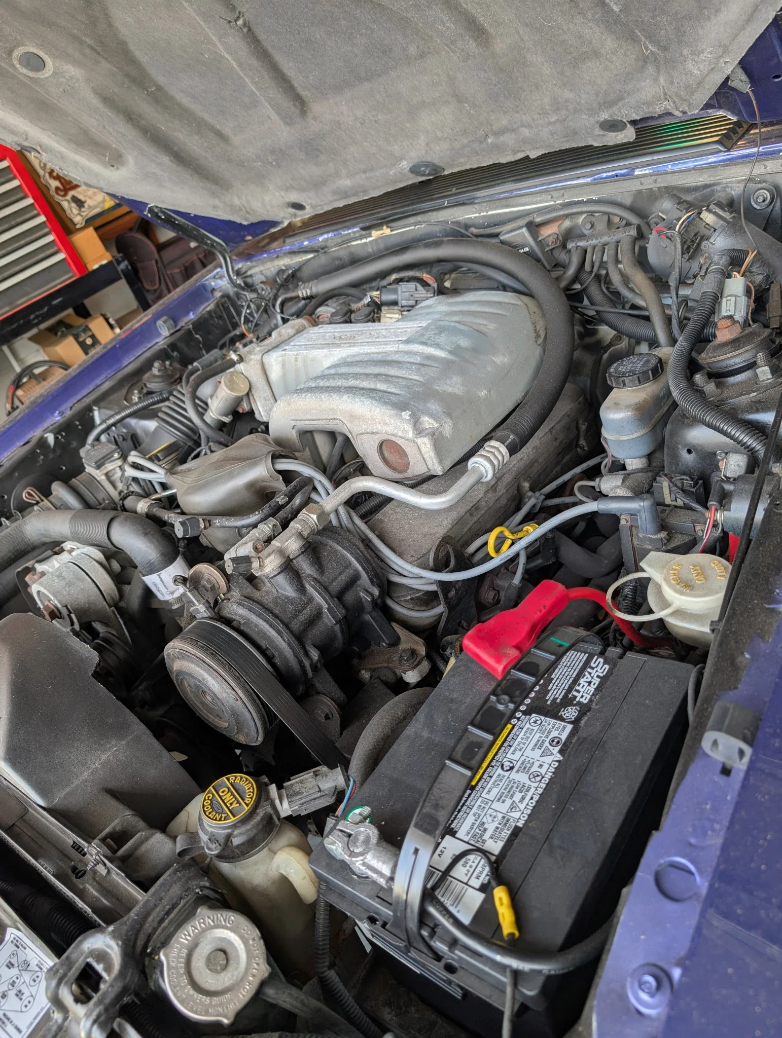 Ford-Mustang-gt-convertible-1989-Purple-White-5