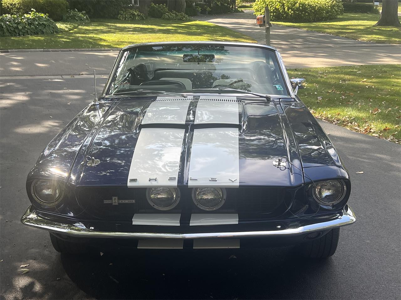 Ford-Mustang-gt350-1967-Blue-Black-and-White-1