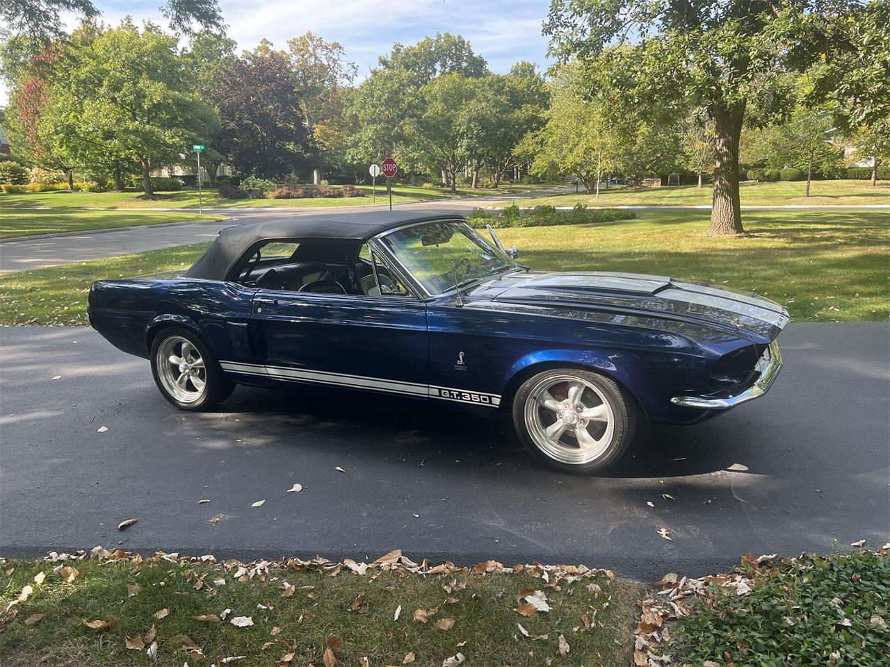 Ford-Mustang-gt350-1967-Blue-Black-and-White-6