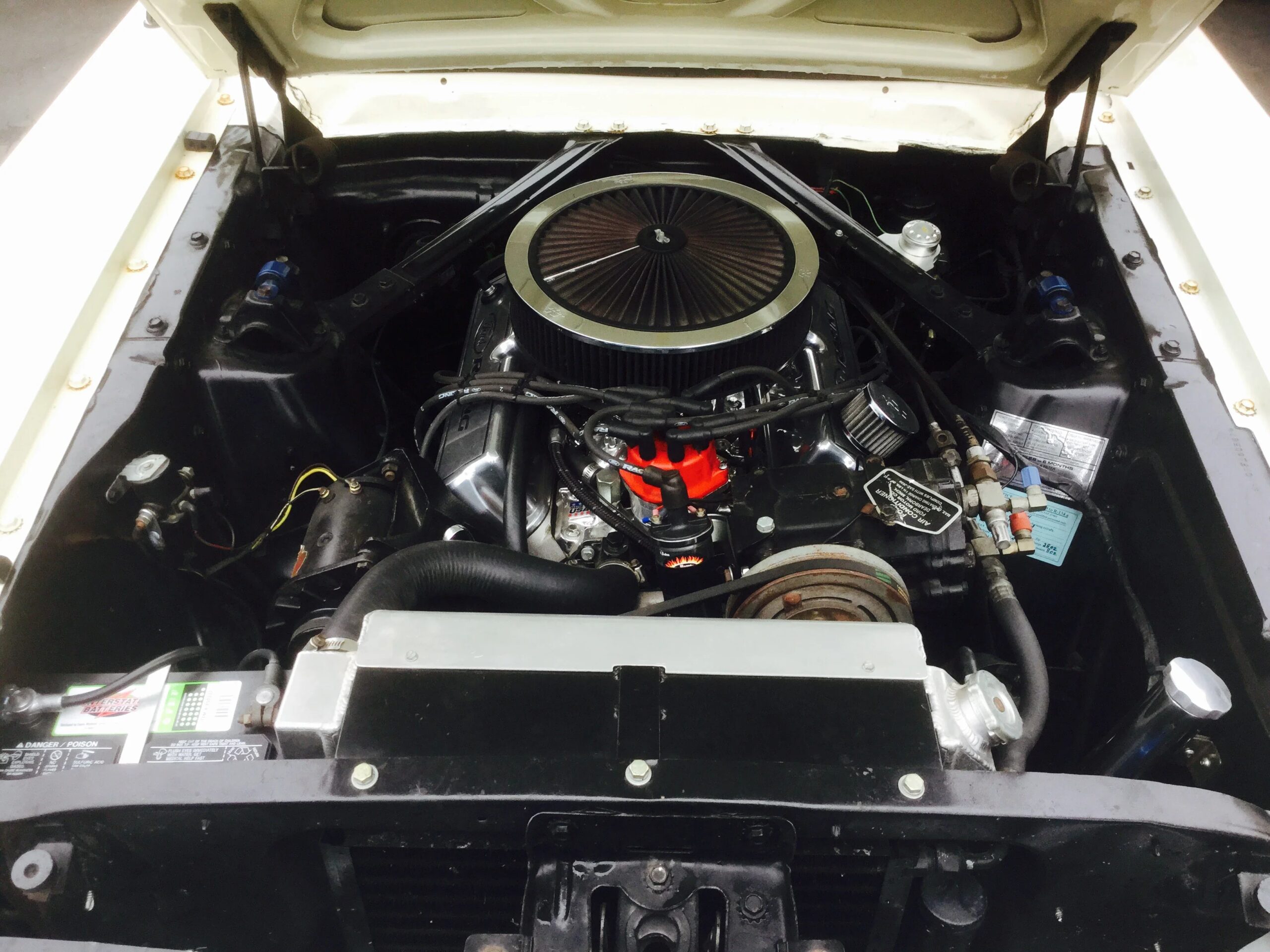 Ford-Mustang-lx-v8-coupe-1964-Off-White-Blue-11