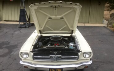 Ford-Mustang-lx-v8-coupe-1964-Off-White-Blue-18
