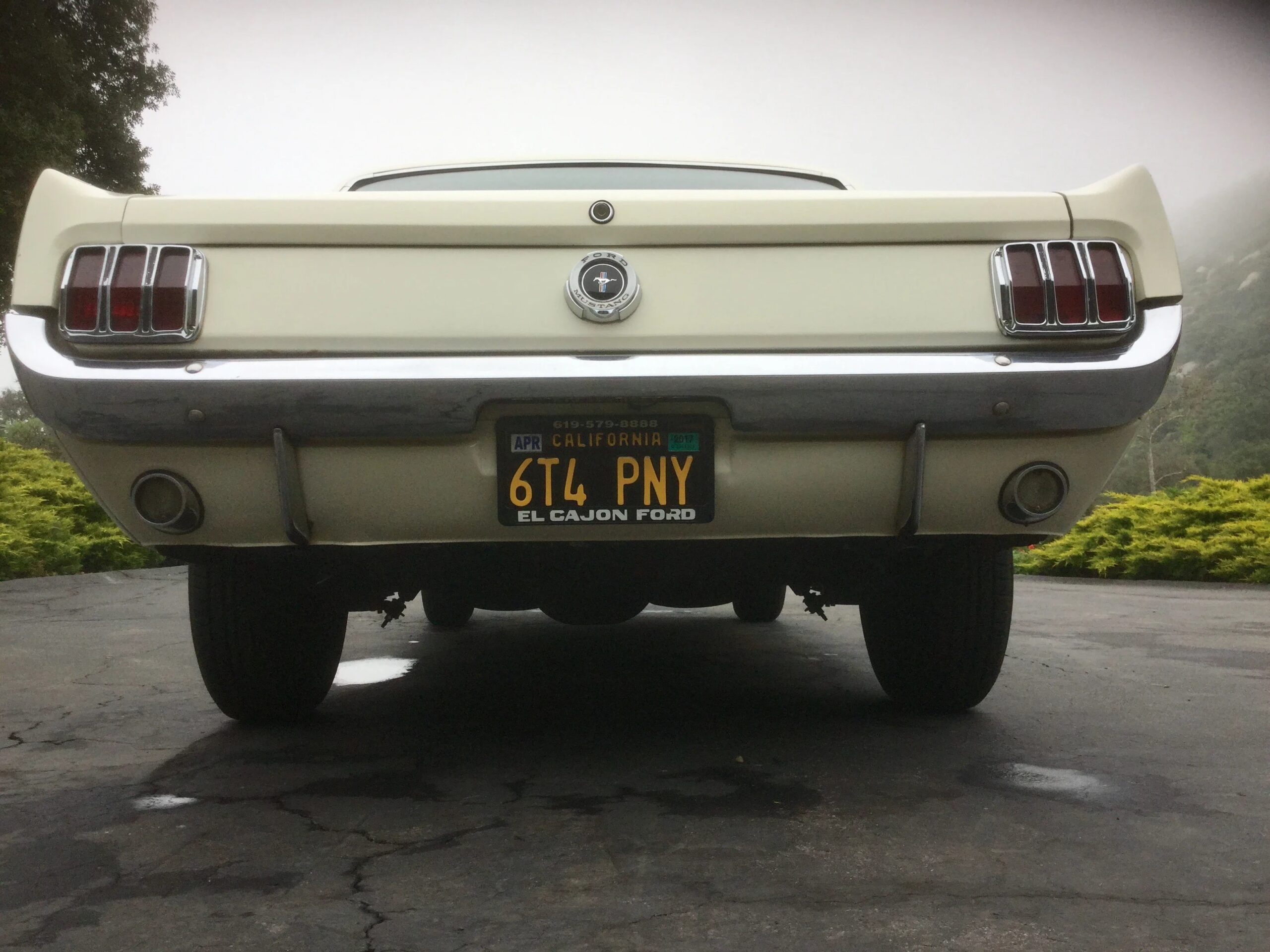 Ford-Mustang-lx-v8-coupe-1964-Off-White-Blue-25