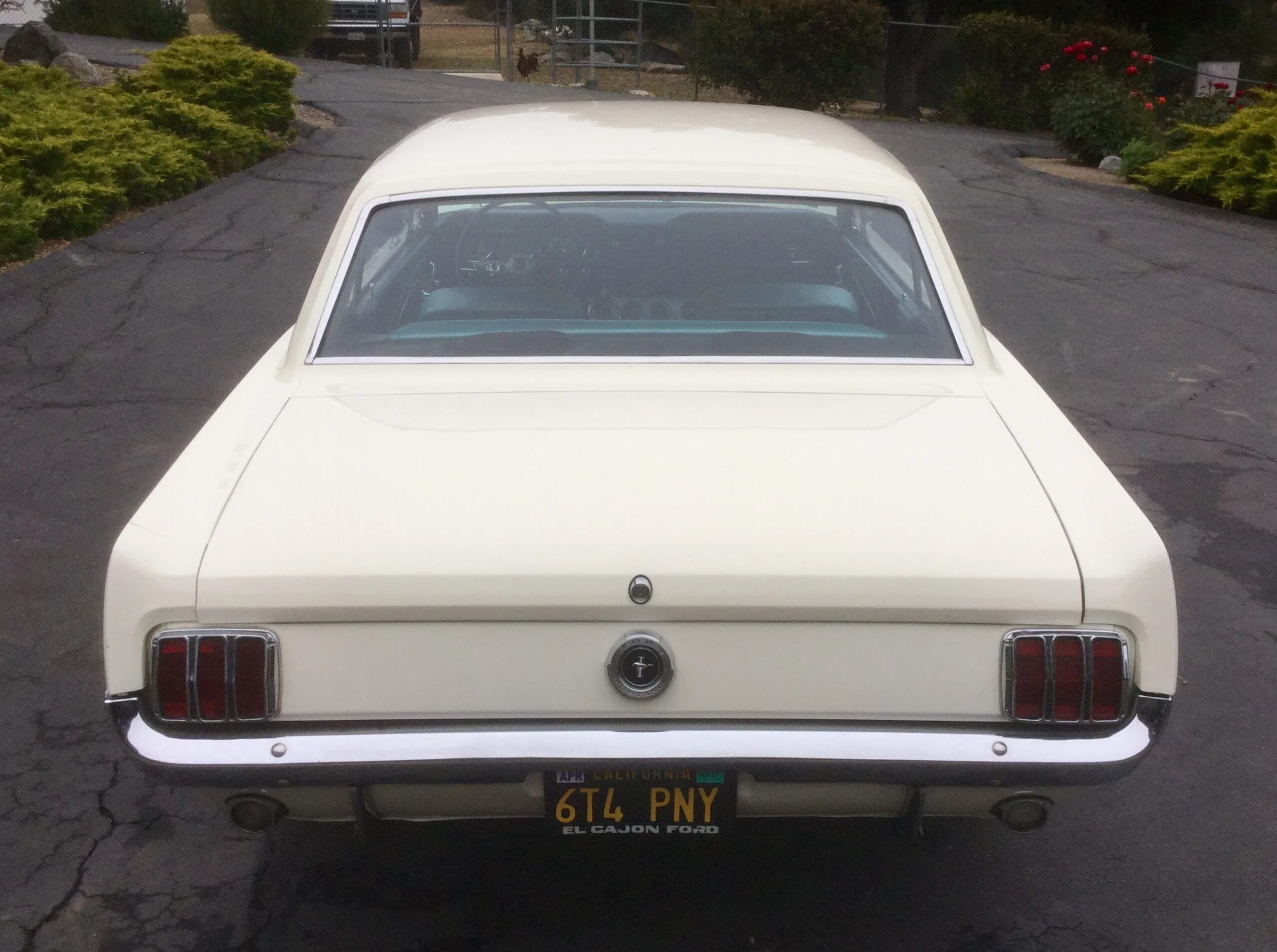 Ford-Mustang-lx-v8-coupe-1964-Off-White-Blue-9