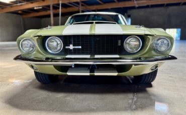 Ford-Mustang-shelby-gt350-1967-Lime-Gold-Black-19