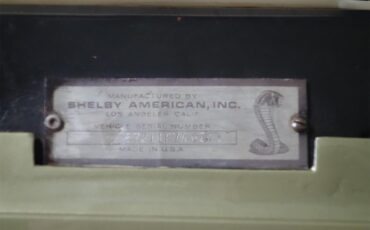 Ford-Mustang-shelby-gt350-1967-Lime-Gold-Black-27