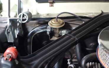 Ford-Mustang-shelby-gt350-1967-Lime-Gold-Black-37