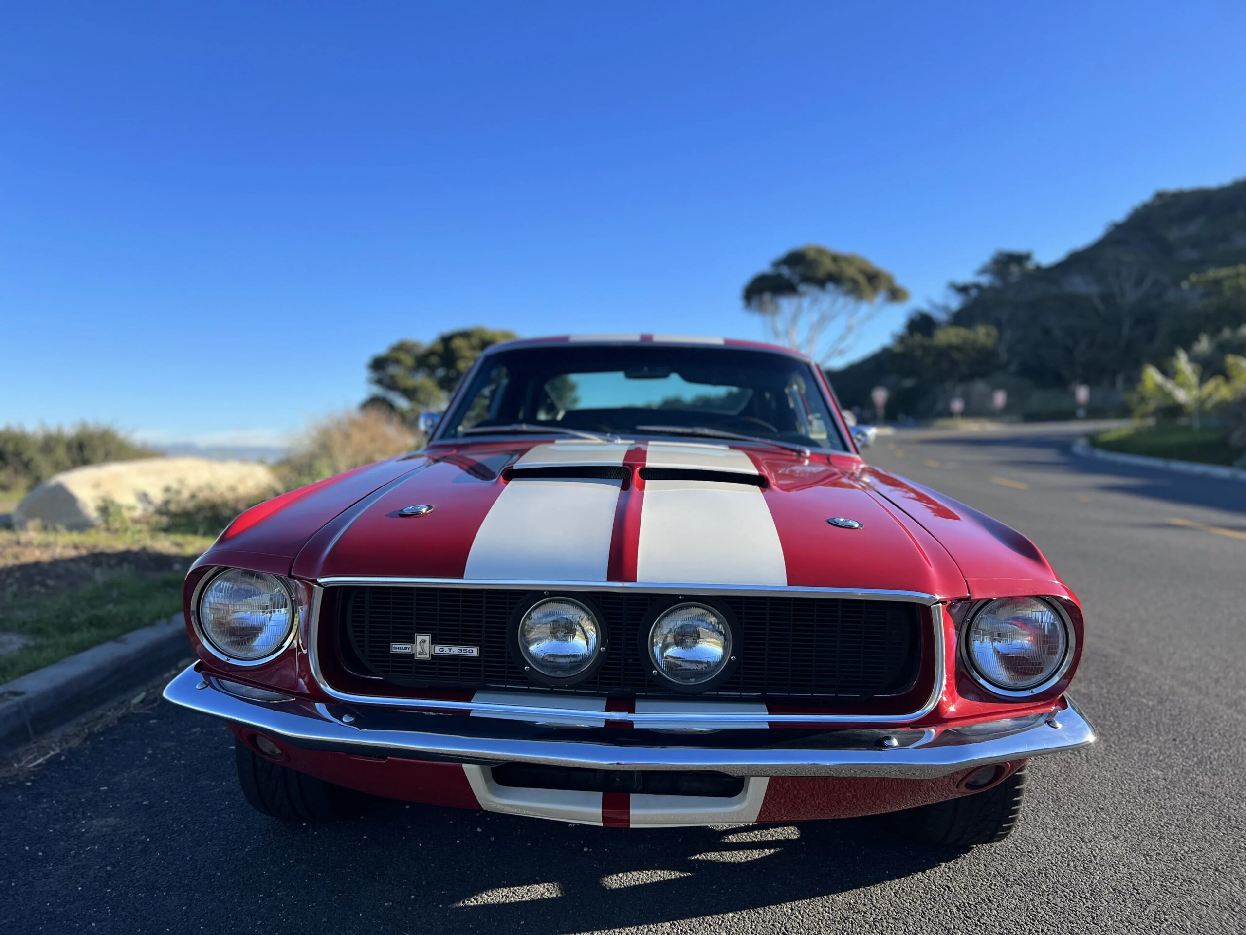 Ford-Mustang-shelby-gt350-1967-Red-Black-1