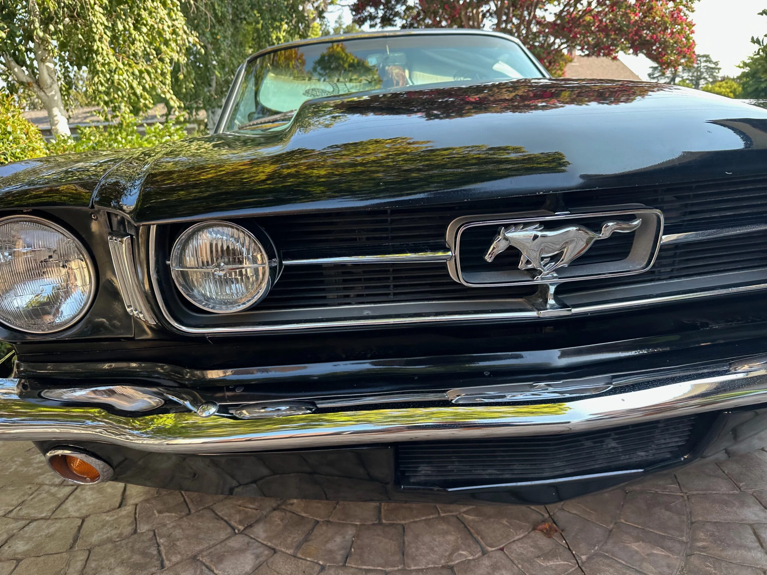 Ford-Mustang-shelby-gt350-coupe-1965-Black-Black-11