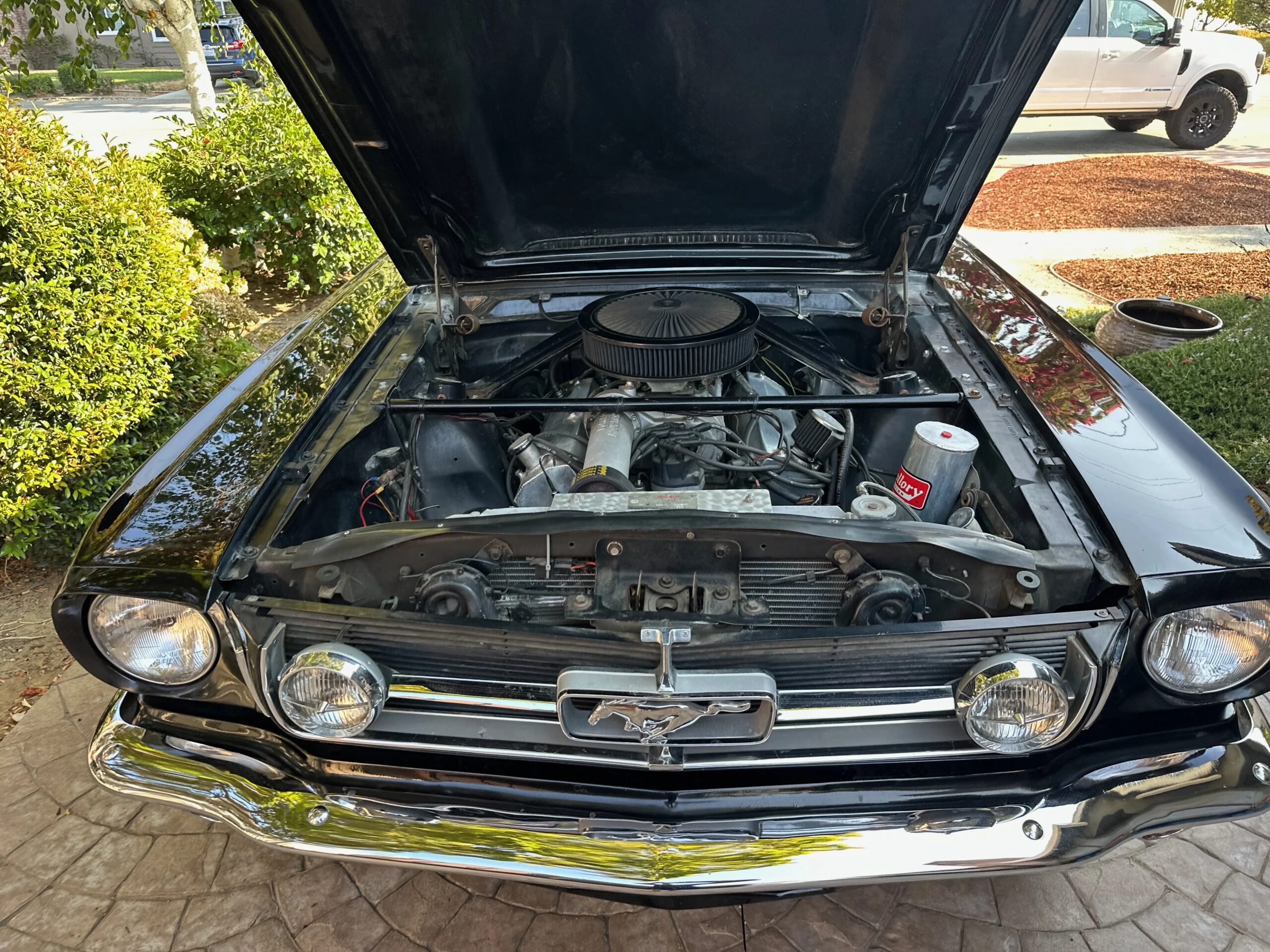 Ford-Mustang-shelby-gt350-coupe-1965-Black-Black-3