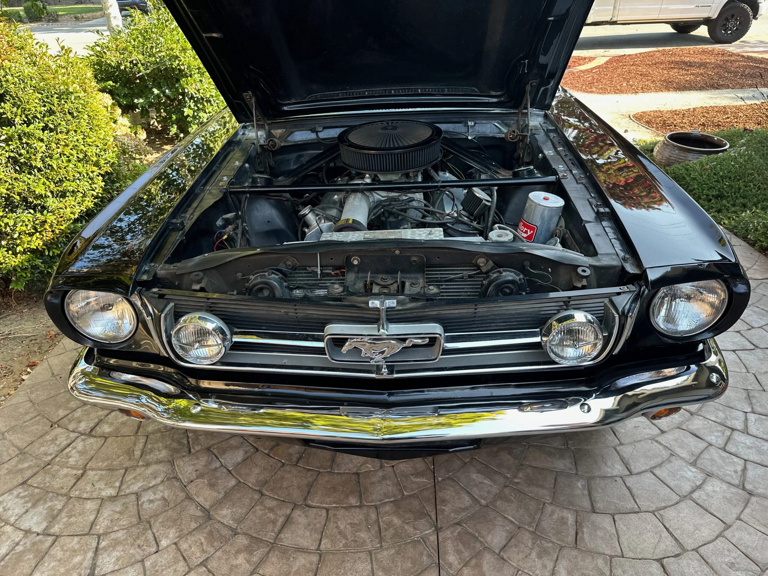 Ford-Mustang-shelby-gt350-coupe-1965-Black-Black-33