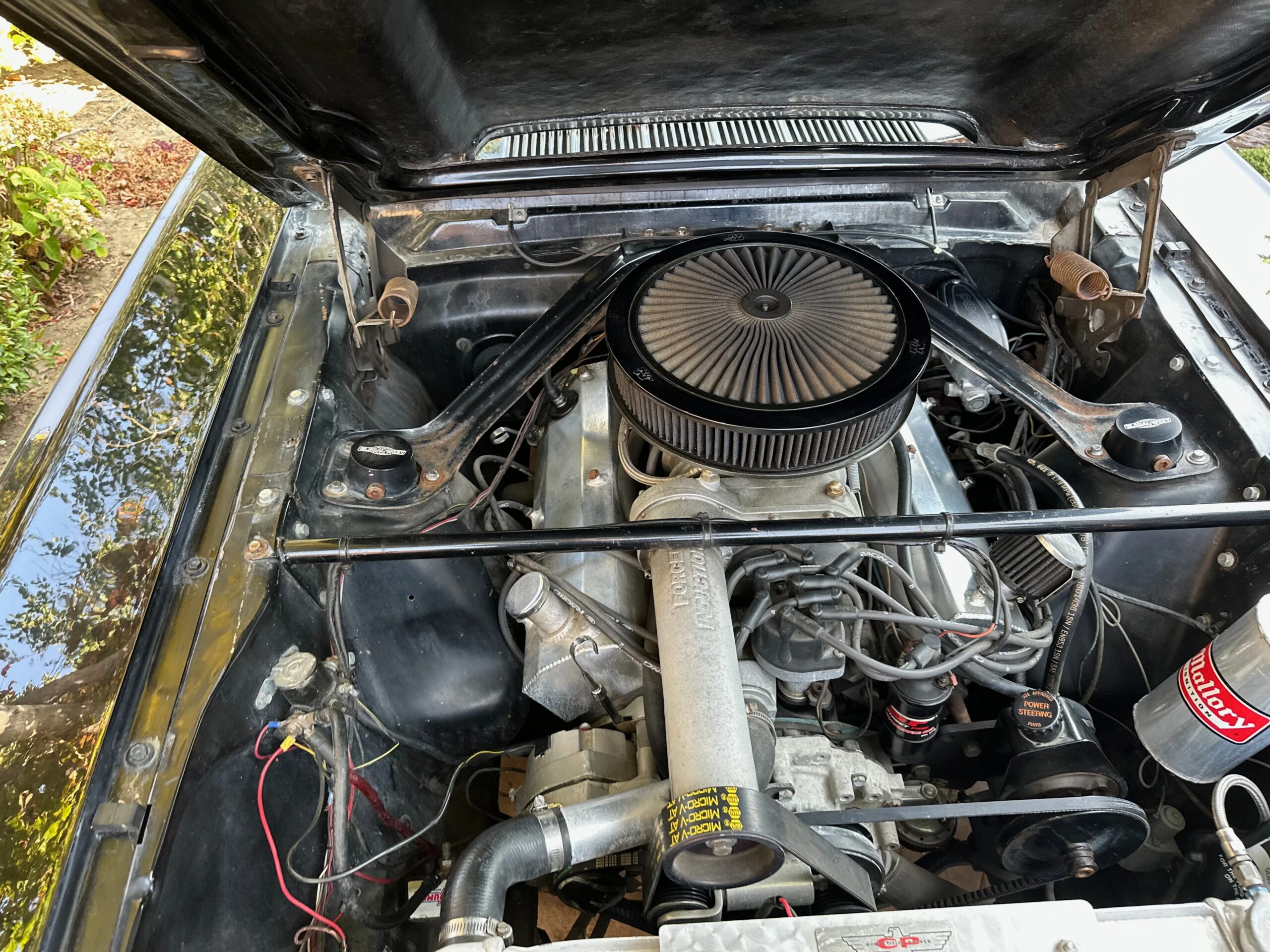 Ford-Mustang-shelby-gt350-coupe-1965-Black-Black-8