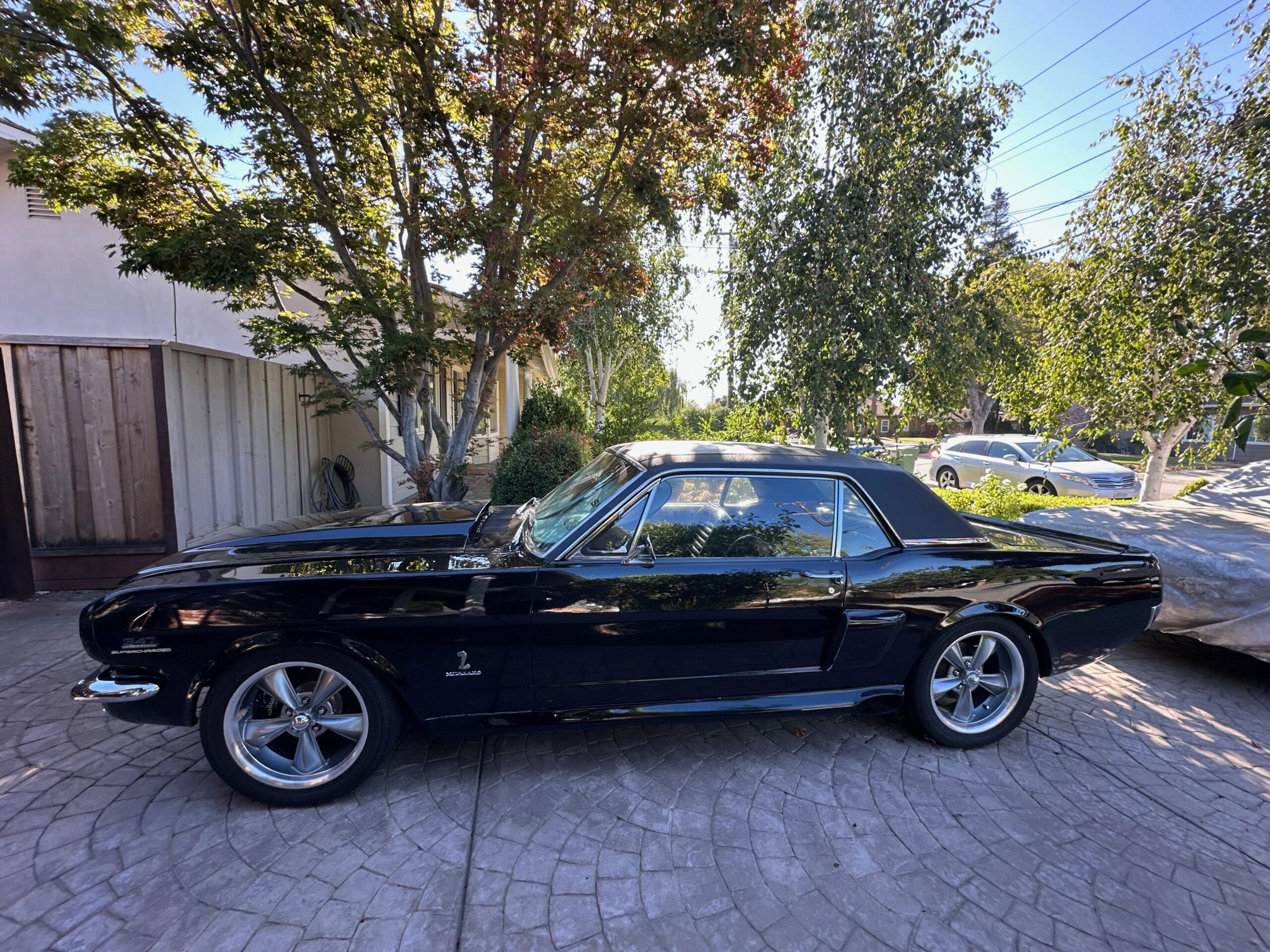 Ford-Mustang-shelby-gt350-coupe-1965-Black-Black