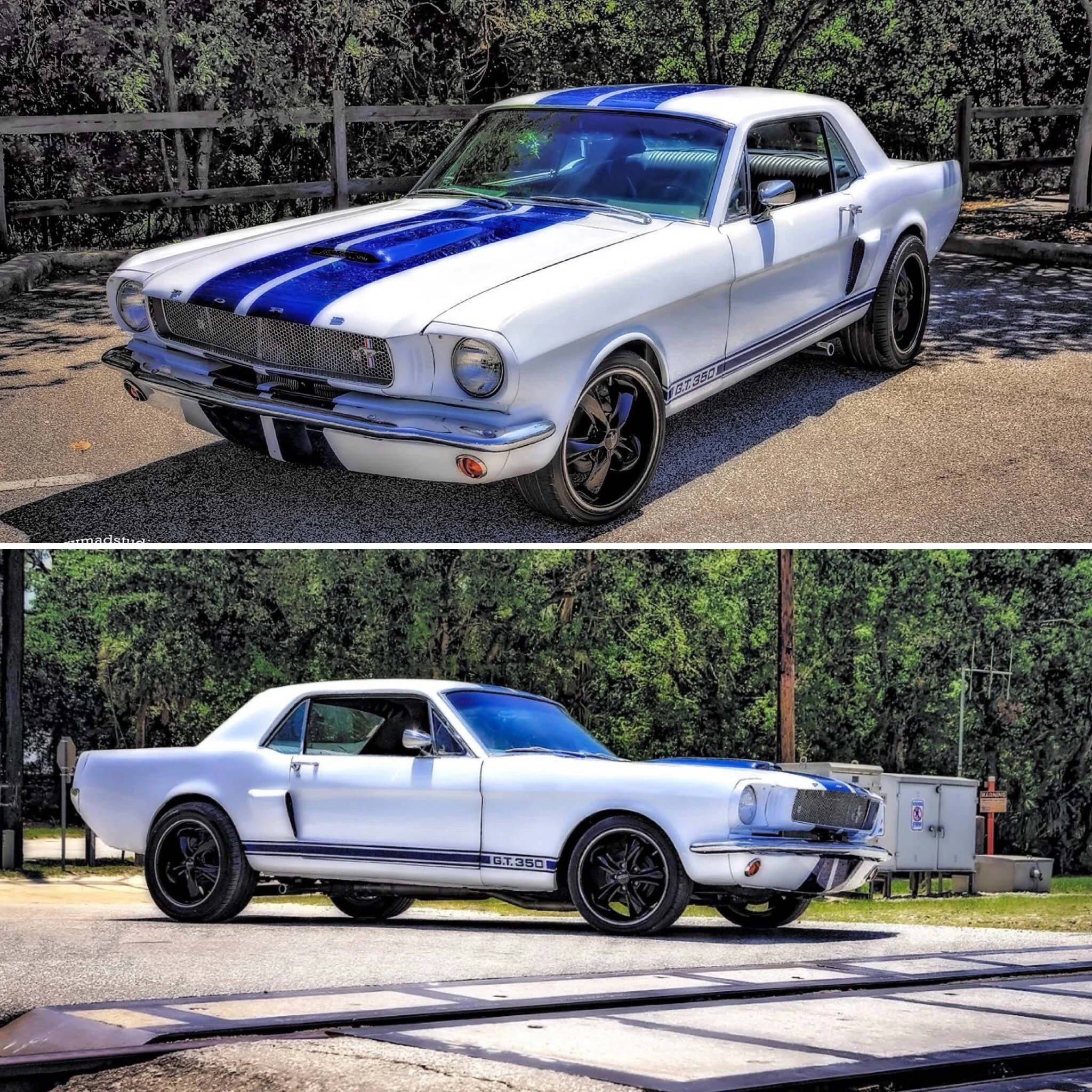 Ford-Mustang-shelby-gt350-coupe-1966-White-Black-60