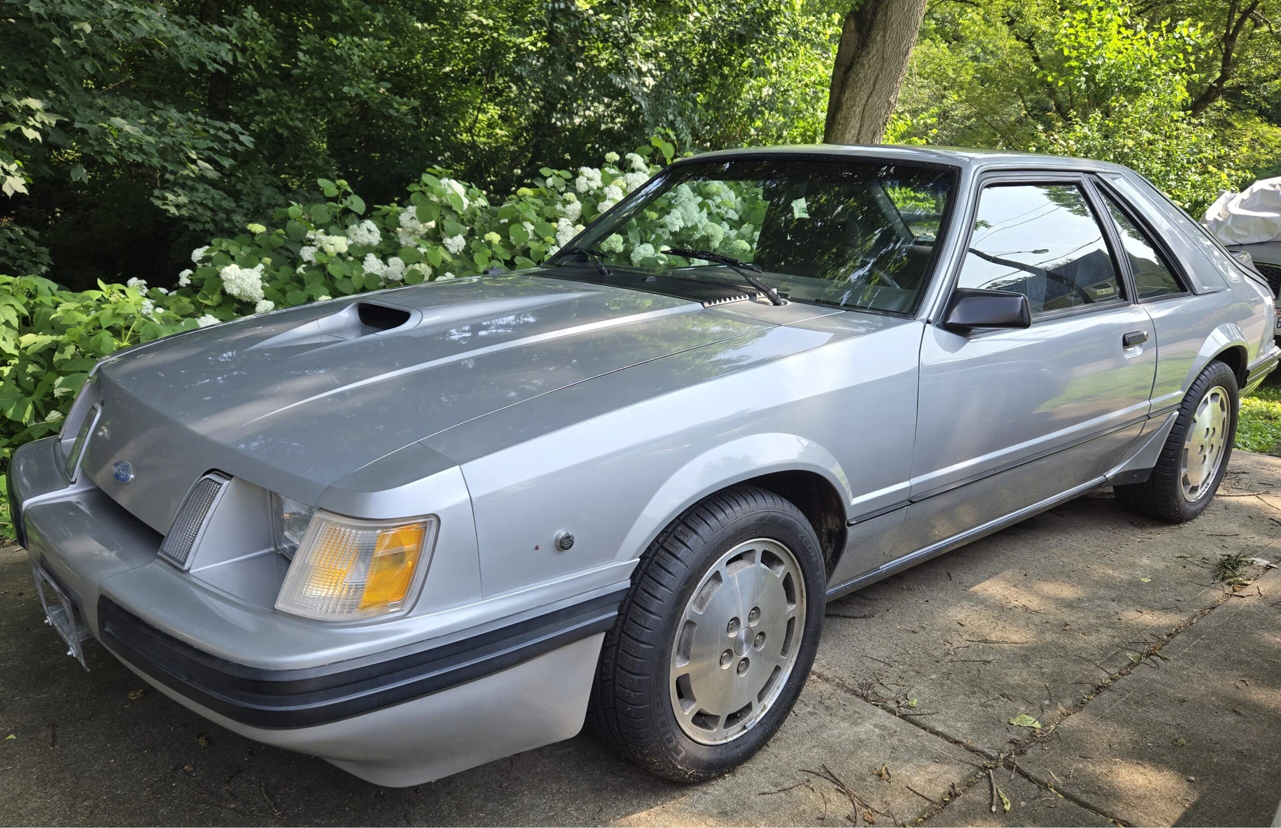 Ford-Mustang-svo-hatchback-1984-Silver-Gray-28