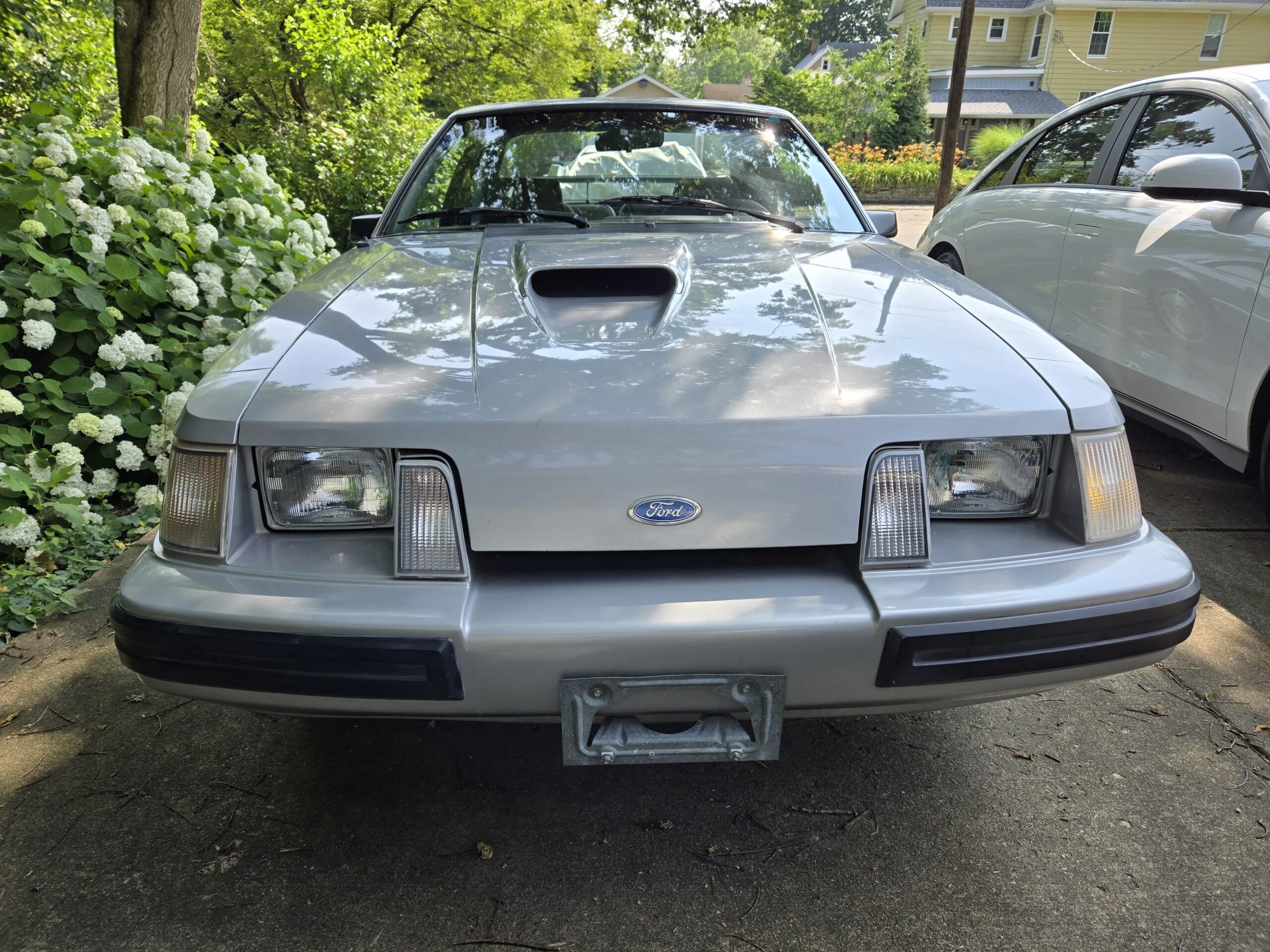 Ford-Mustang-svo-hatchback-1984-Silver-Gray-31