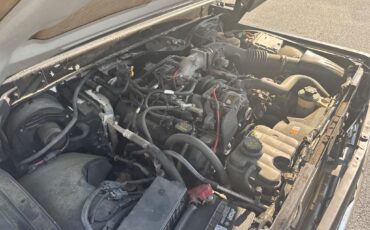 Ford-Other-1966-Black-Tan-27
