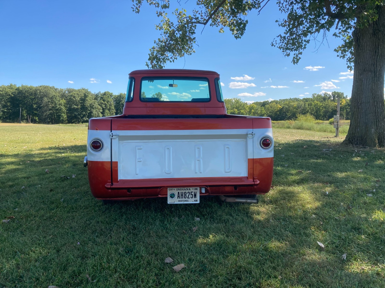 Ford-Other-Pickups-1965-3