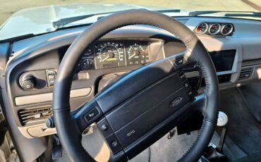 Ford-Other-Pickups-1995-Truck-33