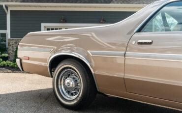 Ford-Ranchero-1978-Standard-Cab-Pickup-14
