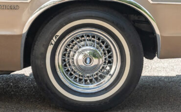 Ford-Ranchero-1978-Standard-Cab-Pickup-23