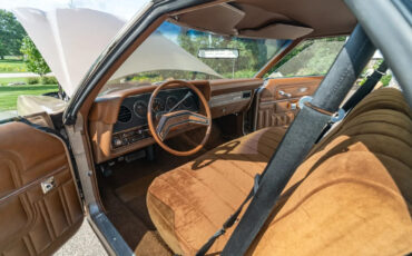 Ford-Ranchero-1978-Standard-Cab-Pickup-24