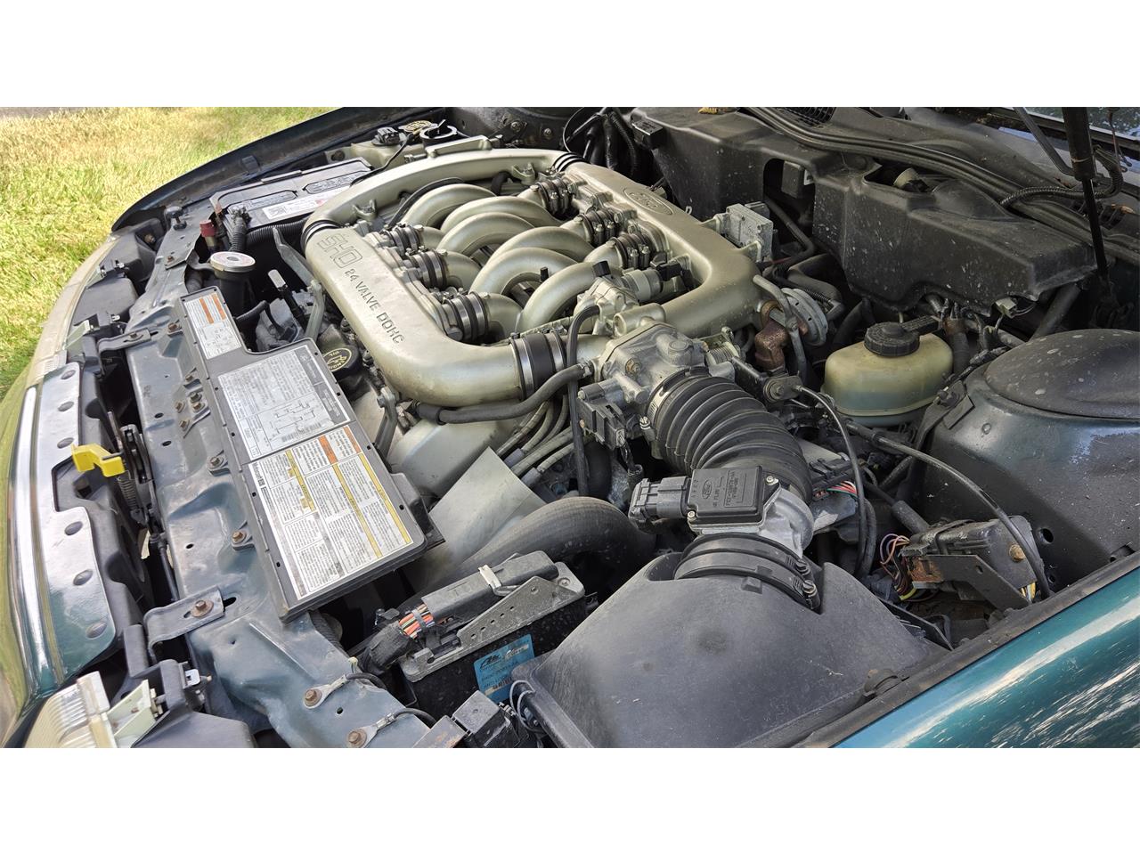 Ford-Taurus-1995-Emerald-Green-Tan-9