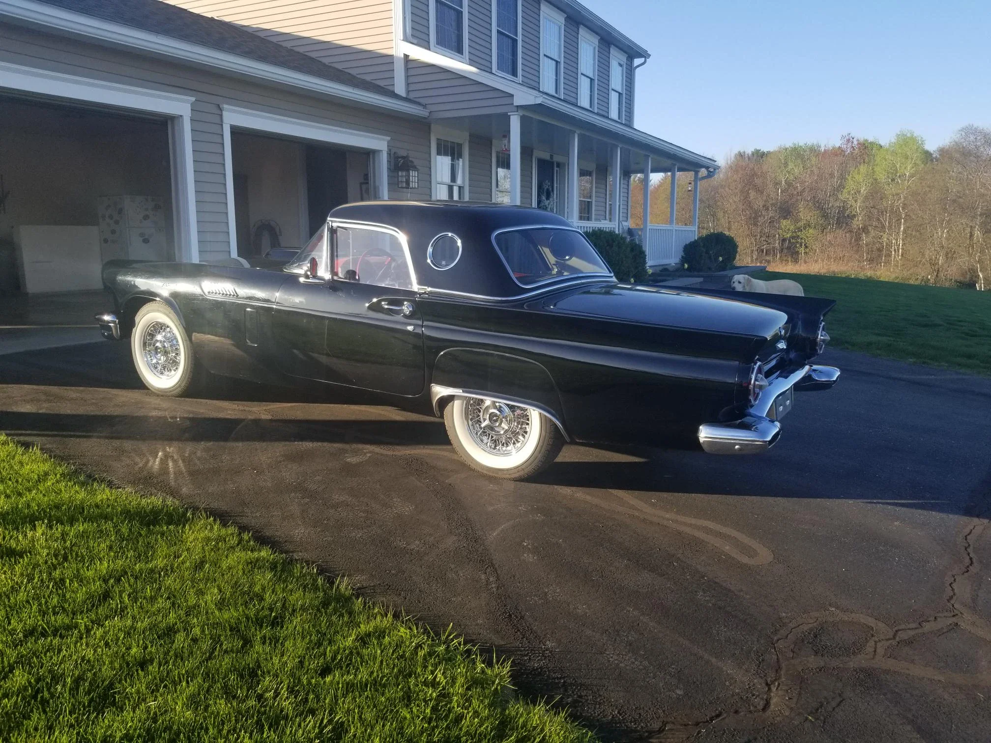 Ford-Thunderbird-1957-Black-Red-12