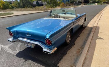 Ford-Thunderbird-1957-Blue-White-8