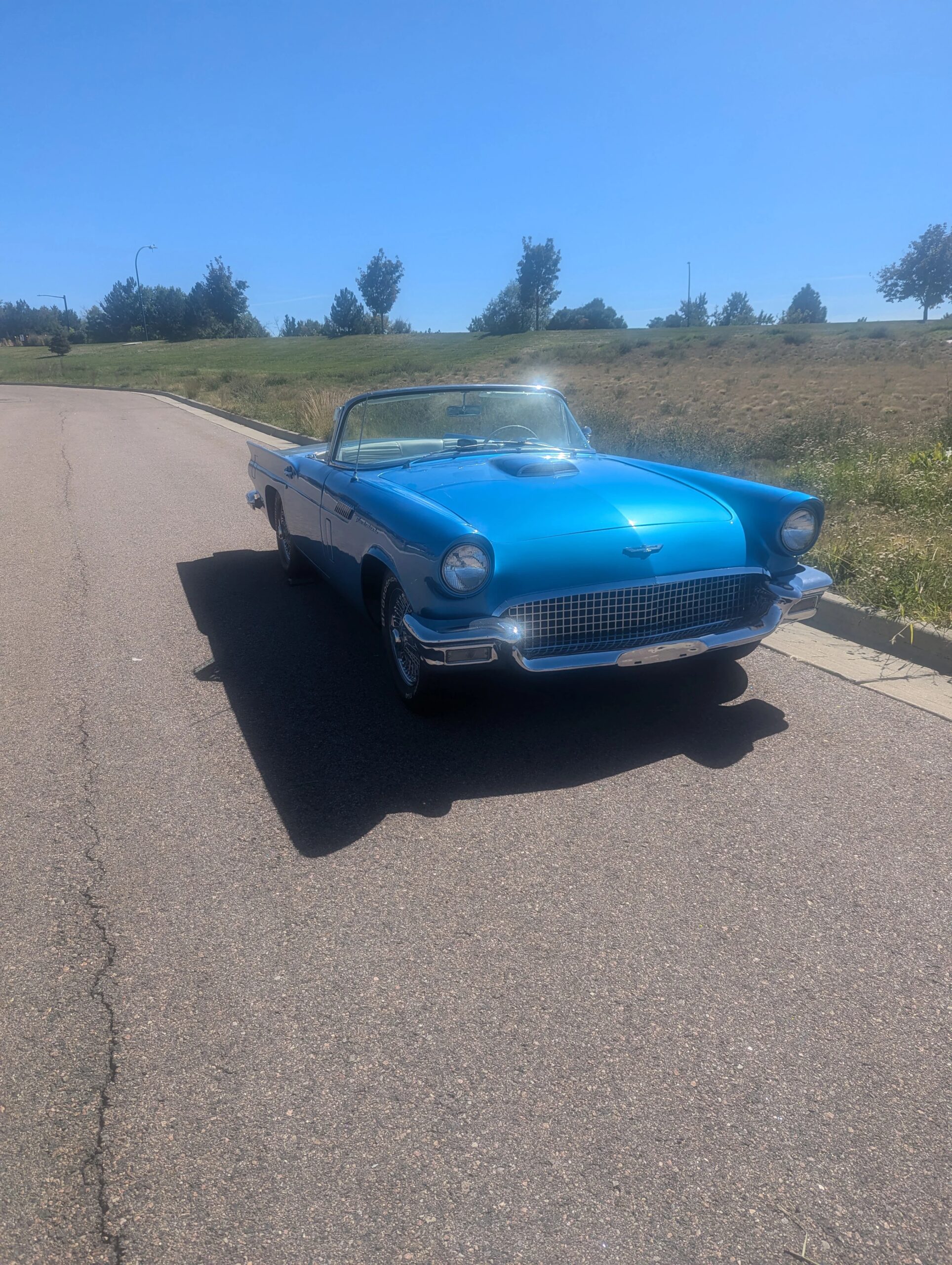 Ford-Thunderbird-1957-Blue-White