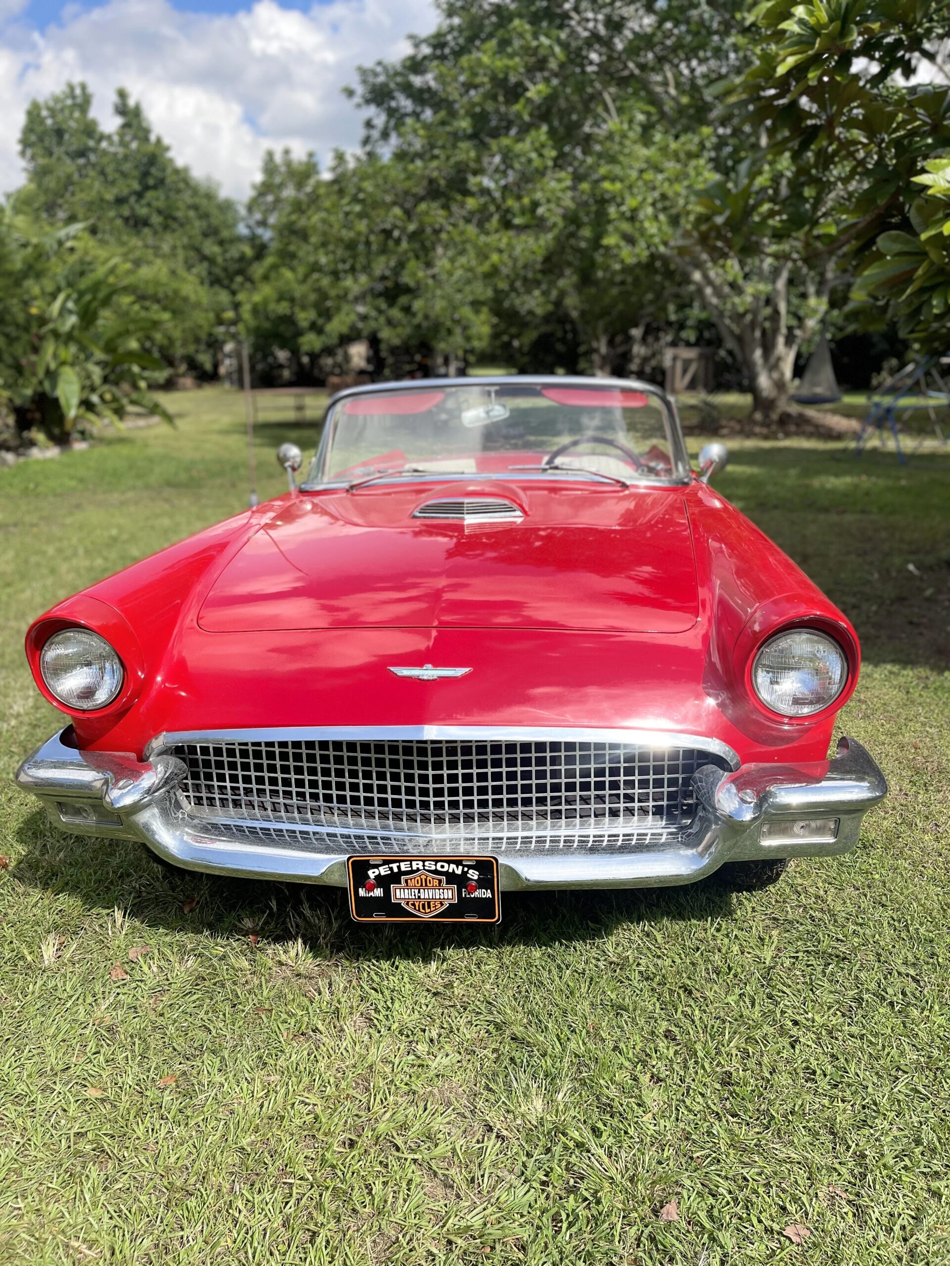 Ford-Thunderbird-1957-Red-White-11