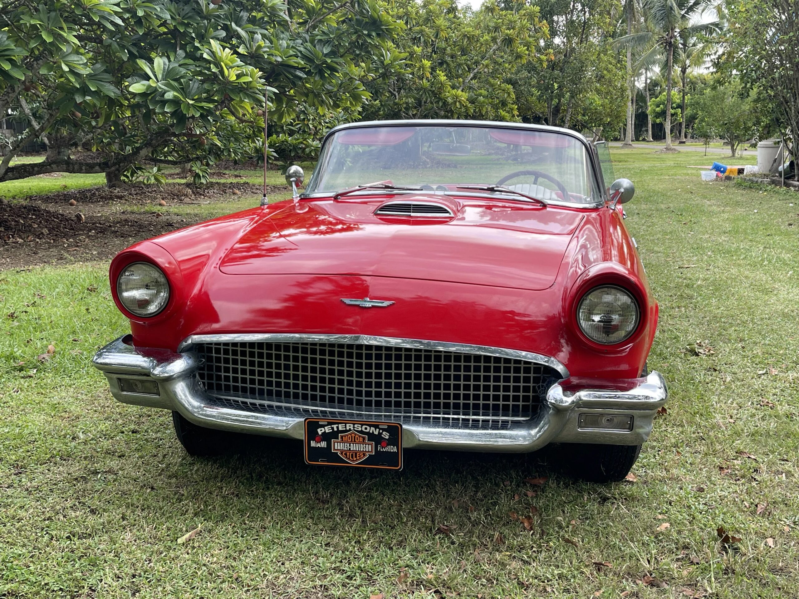 Ford-Thunderbird-1957-Red-White-14