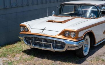 Ford-Thunderbird-1960-2-Door-23