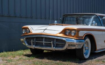 Ford-Thunderbird-1960-2-Door-24