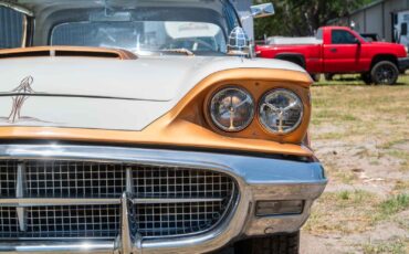 Ford-Thunderbird-1960-2-Door-28