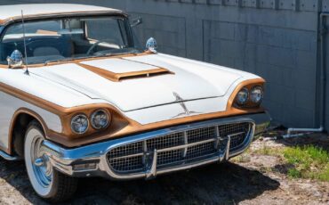 Ford-Thunderbird-1960-2-Door-34