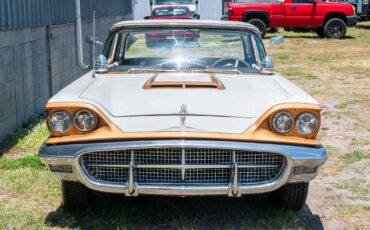 Ford-Thunderbird-1960-2-Door-9