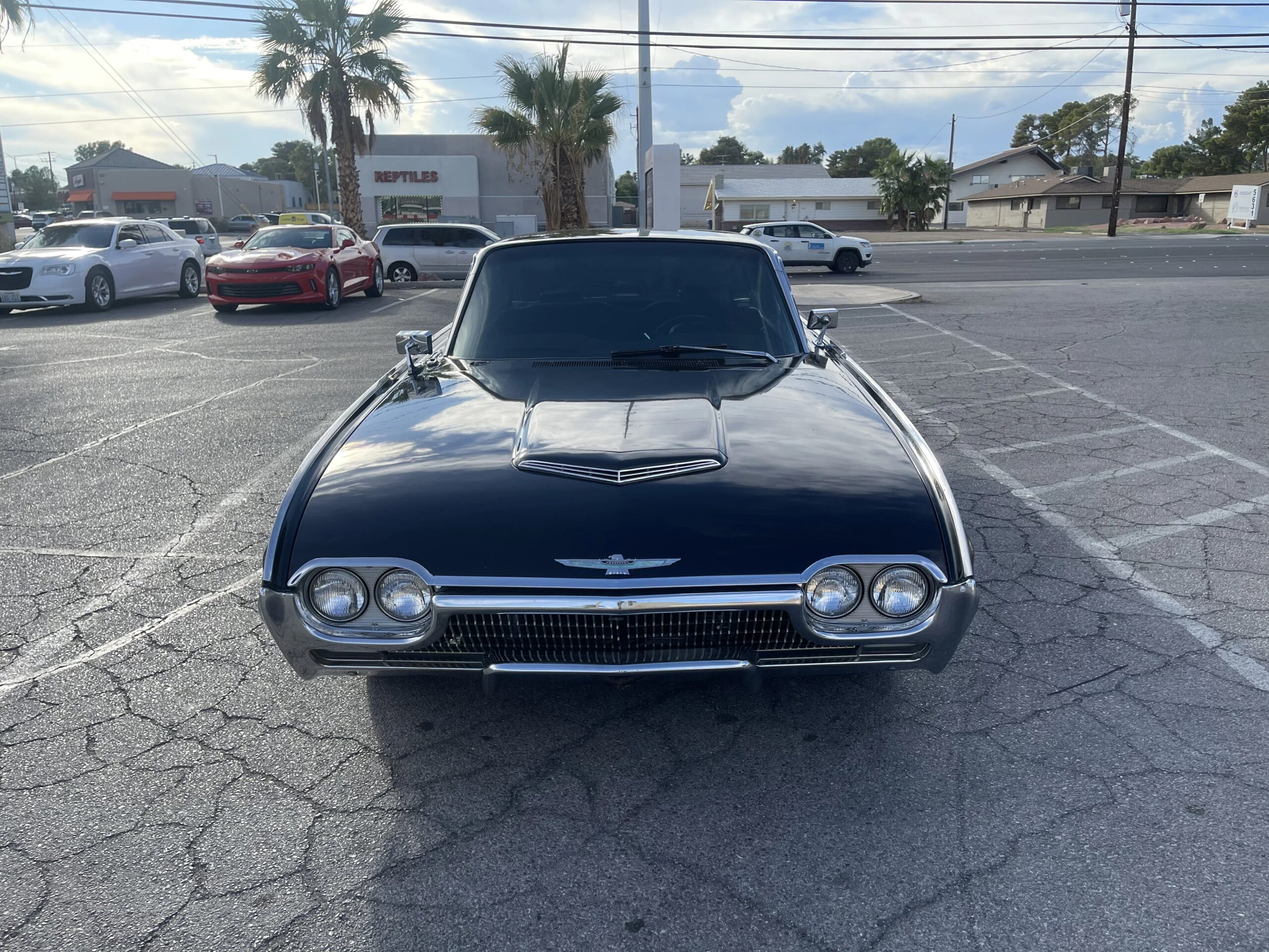 Ford-Thunderbird-1963-Black-Black-6
