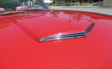 Ford-Thunderbird-1963-Rangoon-Red-Red-21