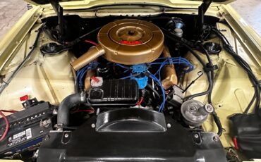 Ford-Thunderbird-1964-Coupe-15