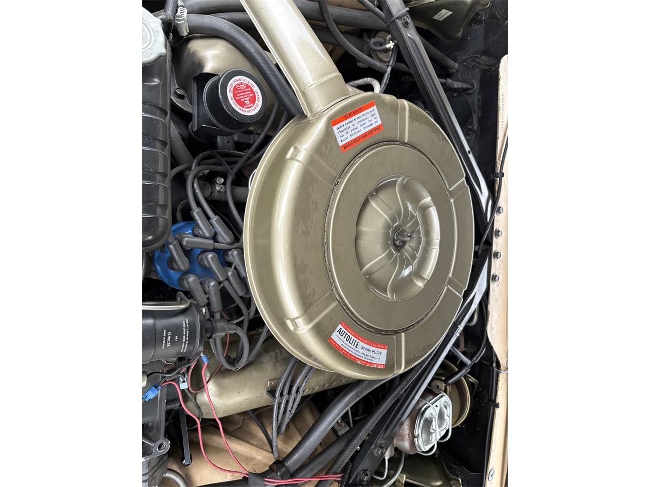 Ford-Thunderbird-1964-Prarie-Tan-Black-9