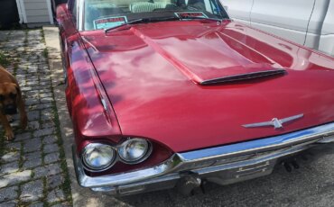 Ford-Thunderbird-1965-Beige-1