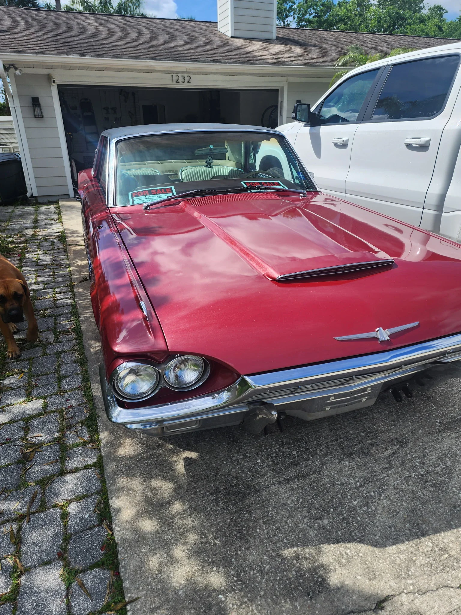 Ford-Thunderbird-1965-Beige-1