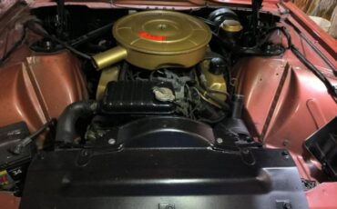 Ford-Thunderbird-1965-Copper-14